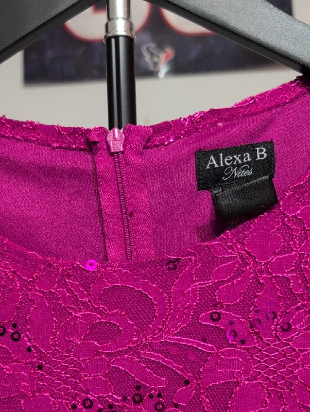 Alex Evenings Fuchsia Lace Sleeveless Maxi Dress - Picture 5 of 11